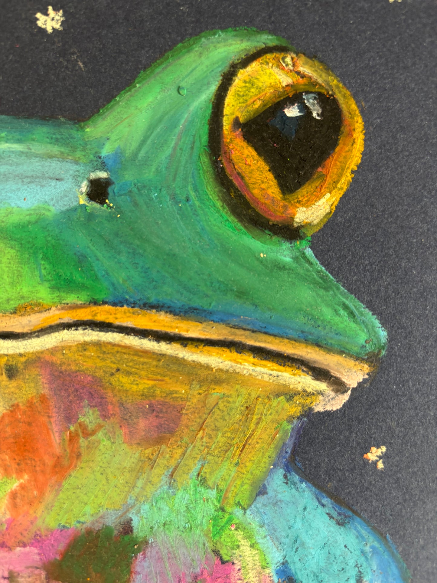 “Moonlit frog”