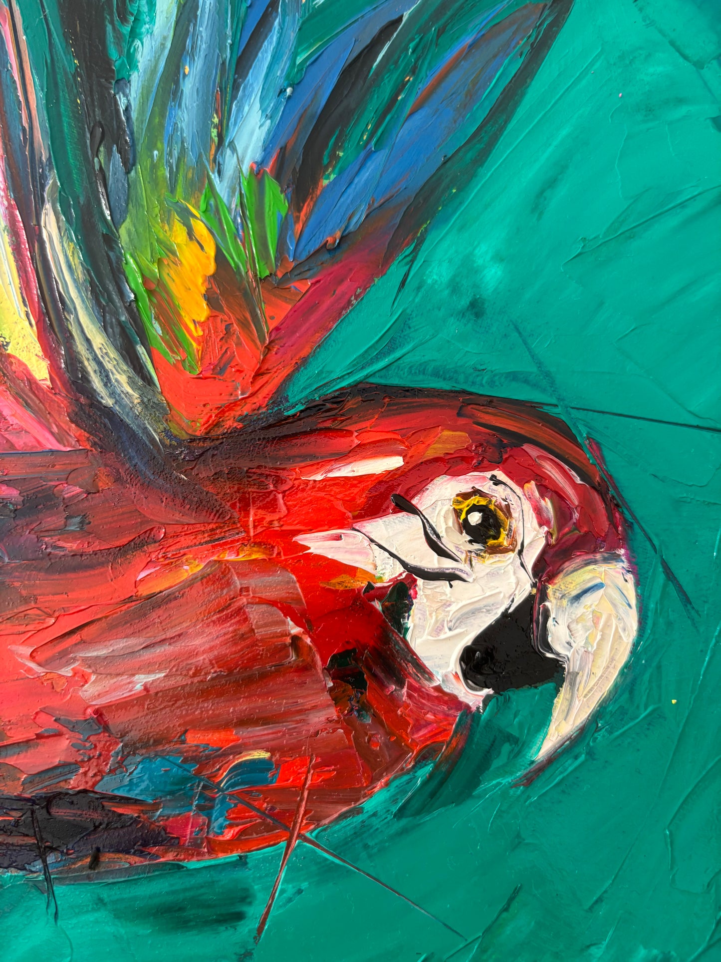 “Messenger of the rainforest”