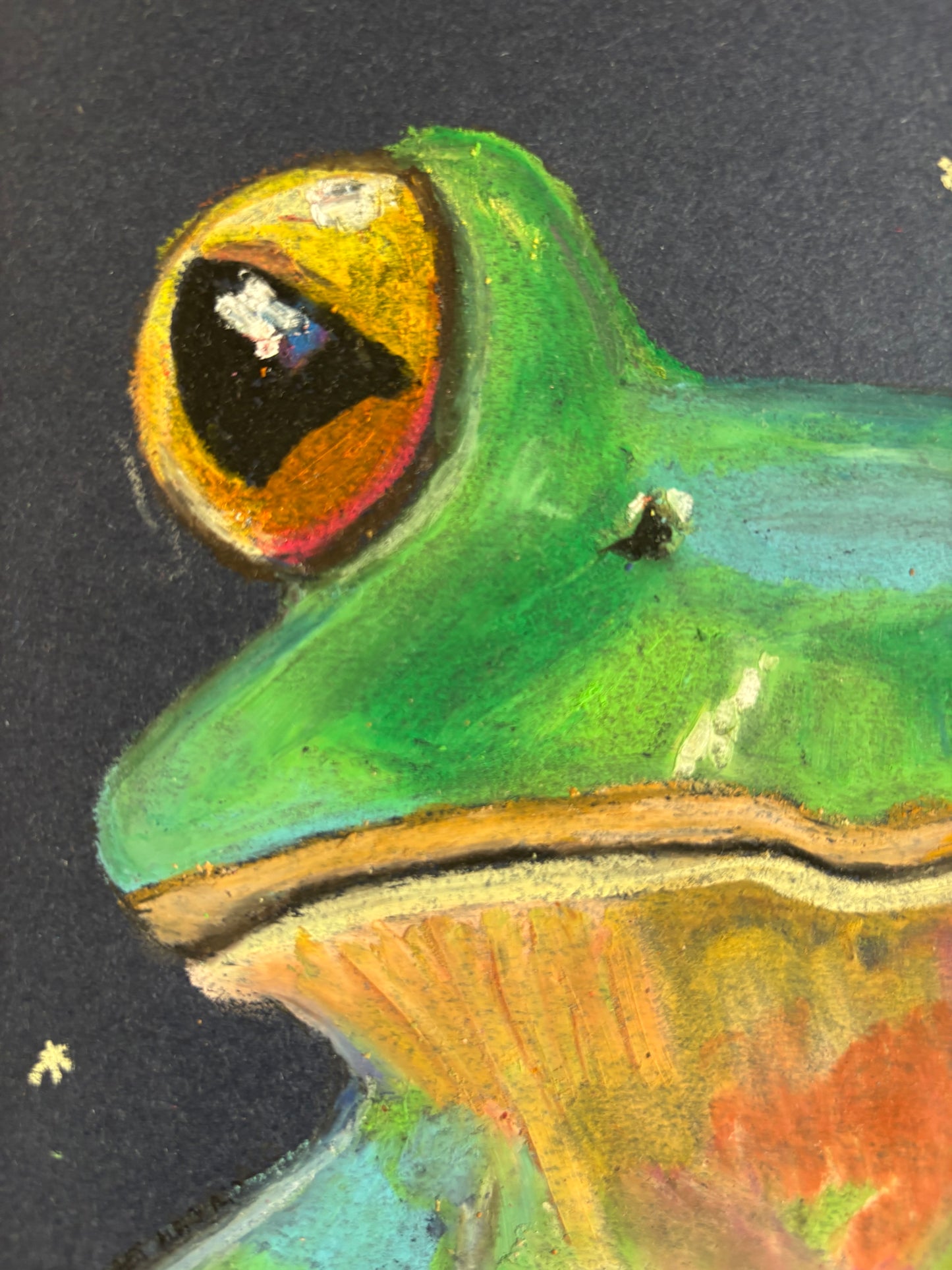 “Moonlit frog”
