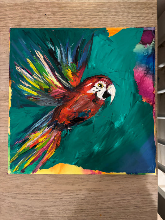 “Messenger of the rainforest”
