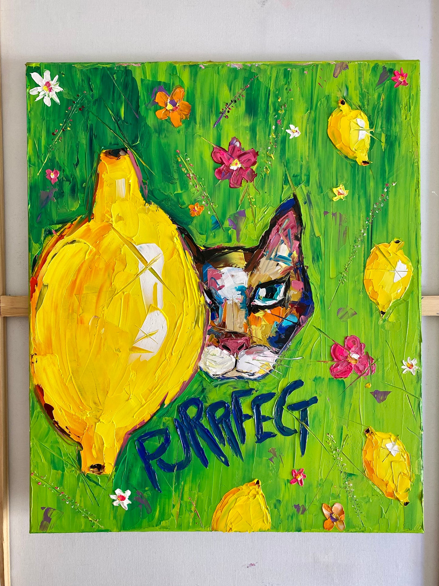 “Mr. Purrfect”