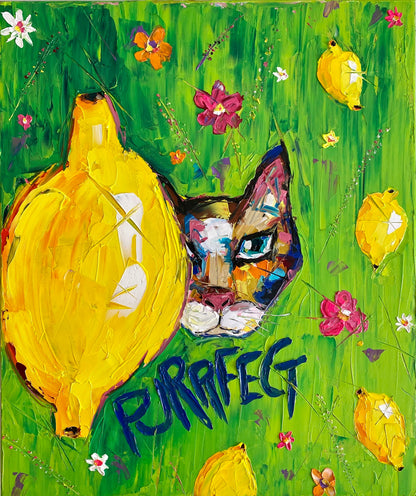 Mr. Purrfect